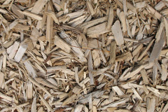 biomass boilers Rhosmaen